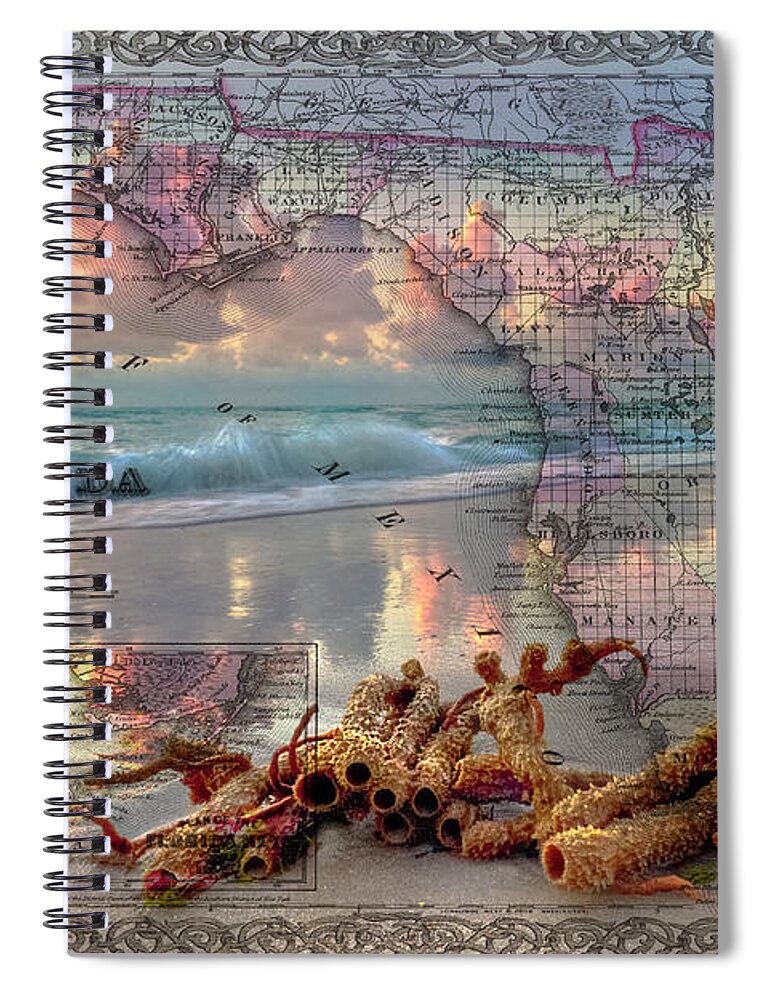 Atlantic Spiral Notebook featuring the photograph Washed up on Shore #1 by Debra and Dave Vanderlaan
