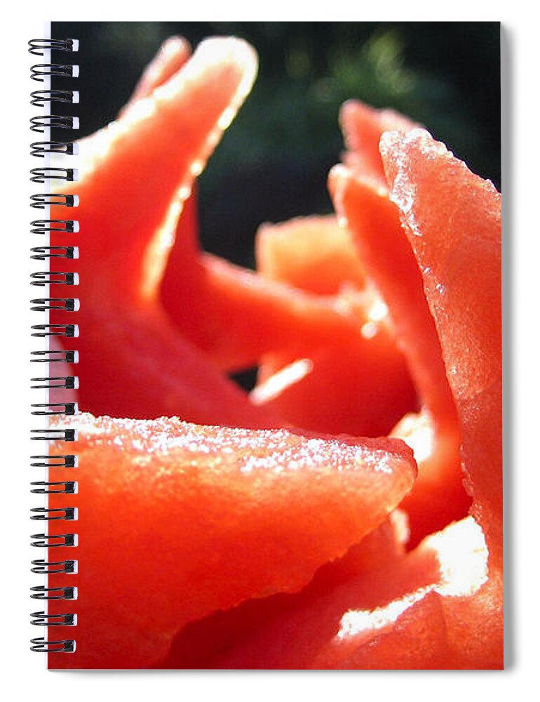 Watermelon Spiral Notebook featuring the photograph Watermelon #1 by Jackie Russo