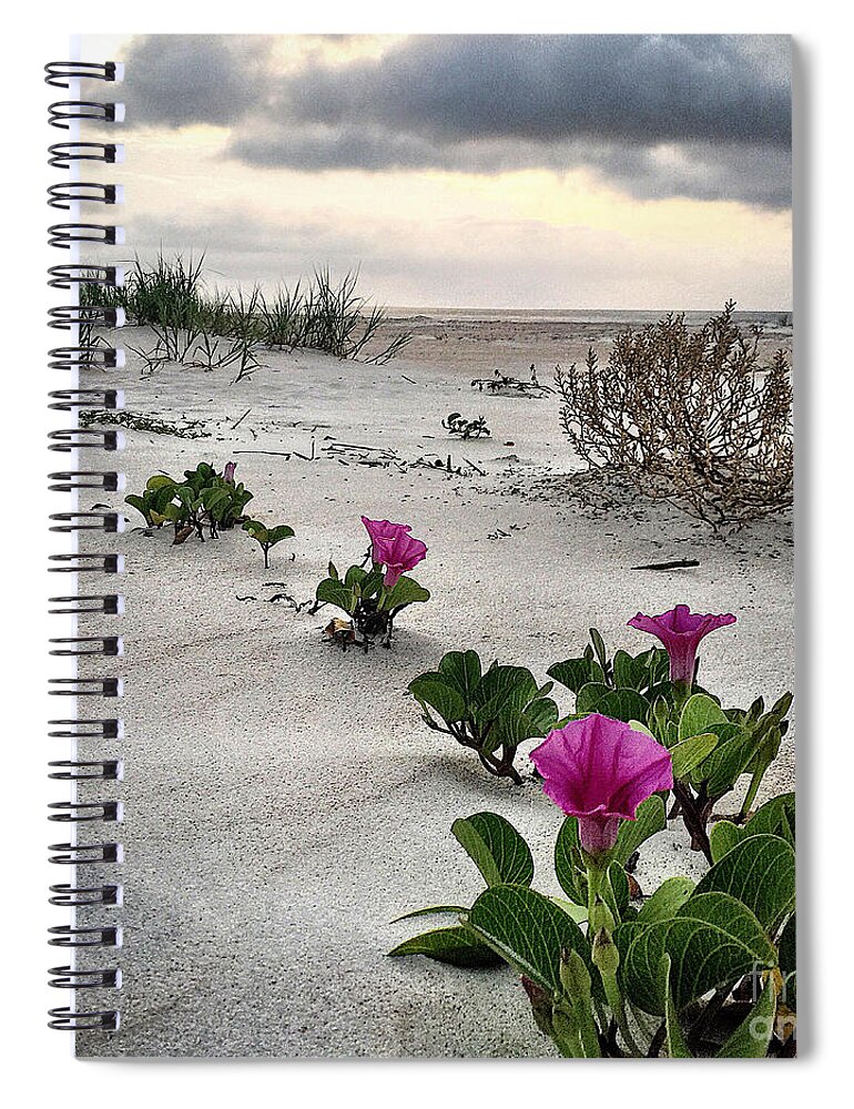 Saturday Spiral Notebook featuring the photograph Weekend glories 6.18.16 #1 by LeeAnn Kendall