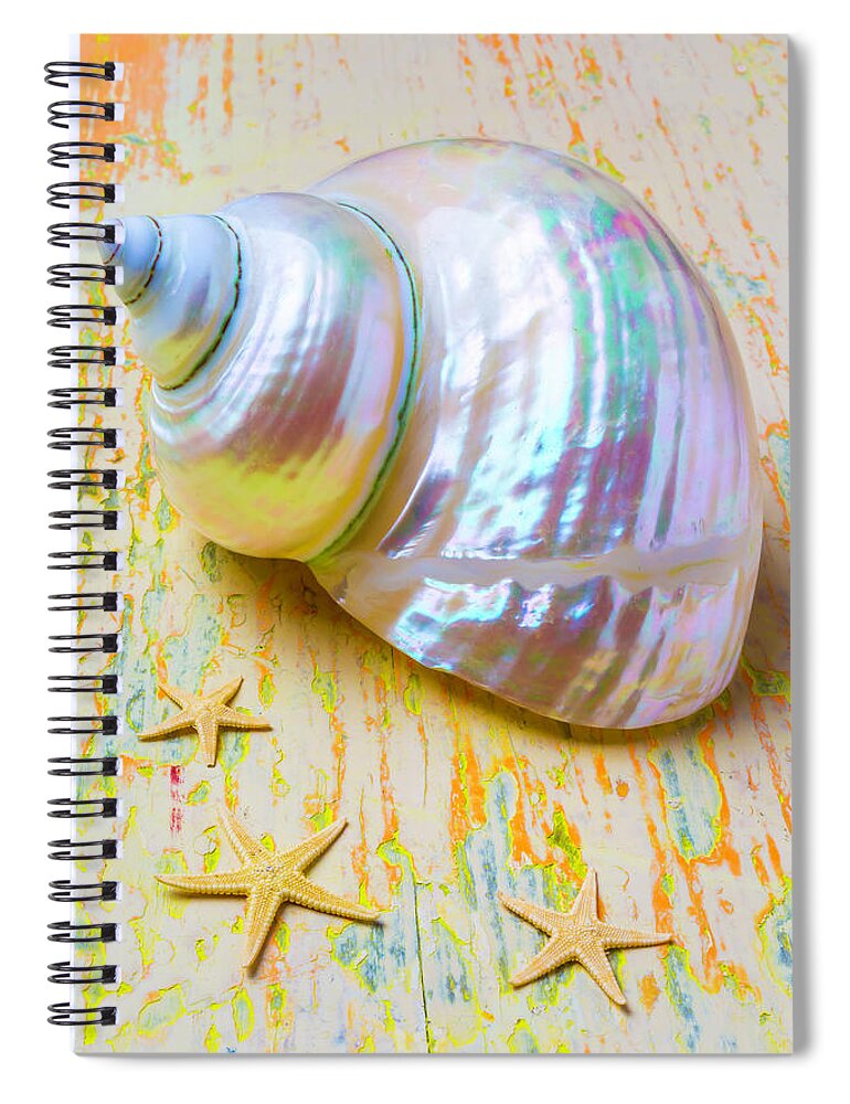 Sea Shell Spiral Notebook featuring the photograph White Shell And Starfish #1 by Garry Gay