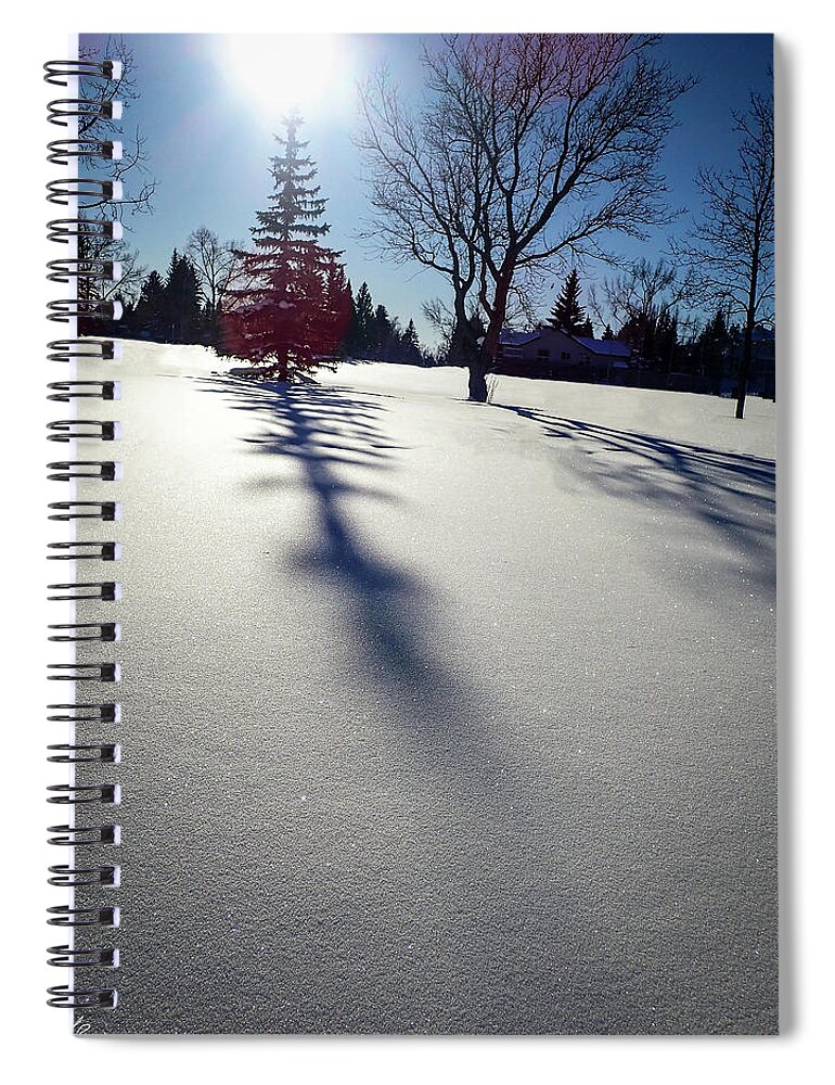 Trees Spiral Notebook featuring the photograph Winter Shadows #1 by Phil And Karen Rispin