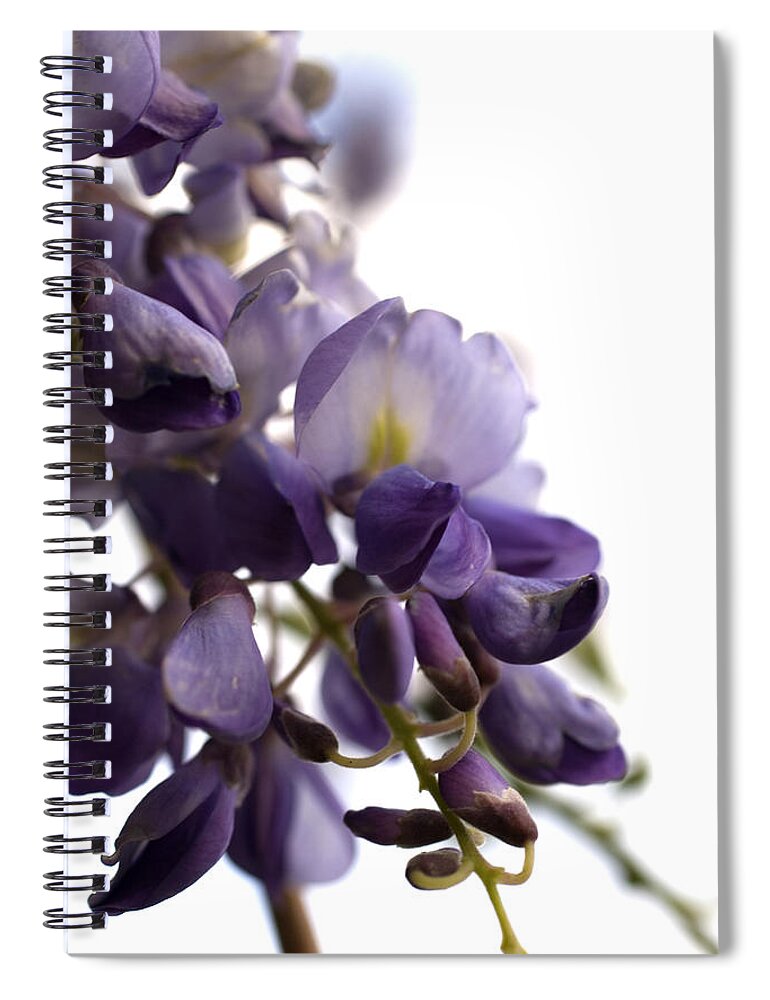 Wisteria Spiral Notebook featuring the photograph Wisteria by Jessica Wakefield