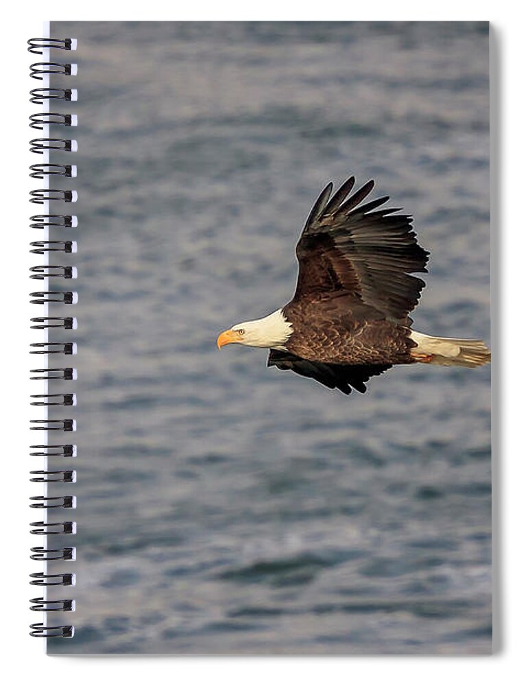 Illinois Spiral Notebook featuring the photograph Bald Eagle #10 by Peter Lakomy