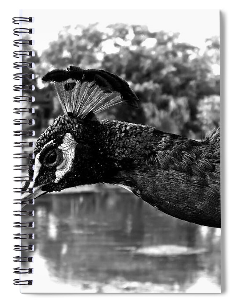 China Spiral Notebook featuring the photograph China Guilin landscape scenery photography #10 by Artto Pan
