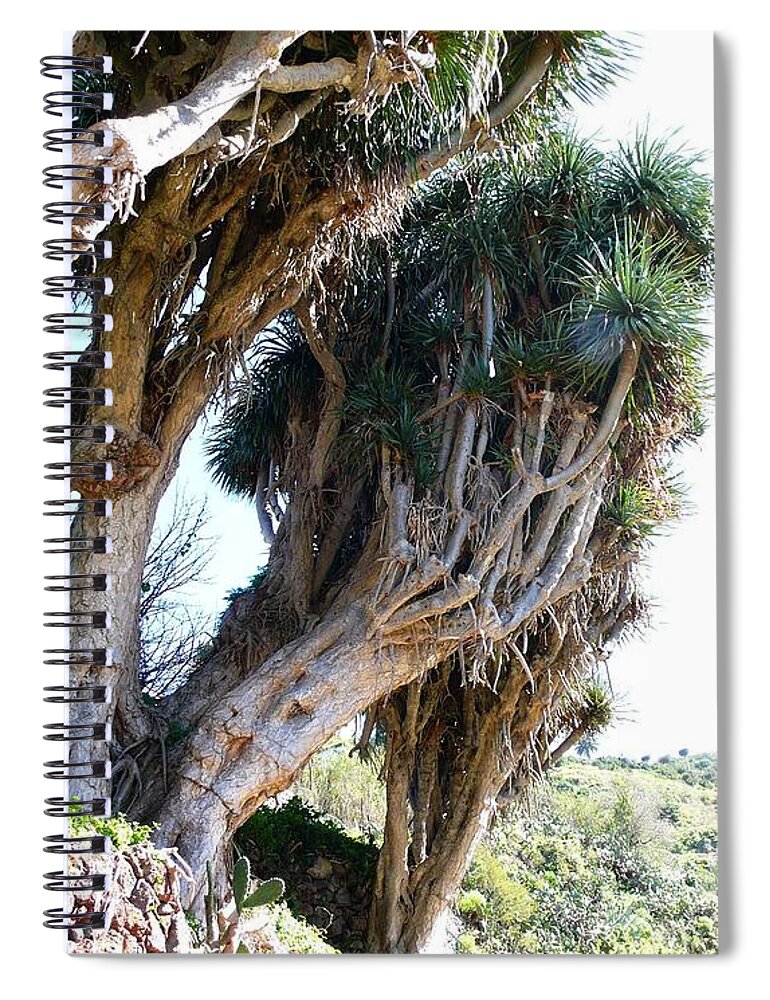 Plant Spiral Notebook featuring the photograph Plant #10 by Jackie Russo