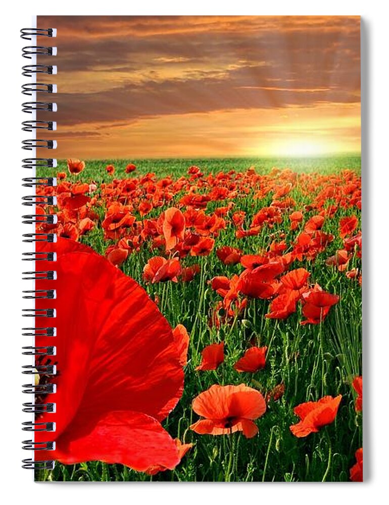 Poppy Spiral Notebook featuring the photograph Poppy #10 by Jackie Russo