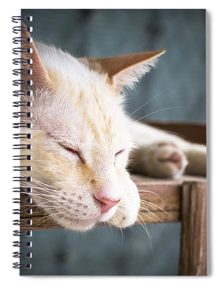 Cat Spiral Notebook featuring the digital art Cat #103 by Super Lovely
