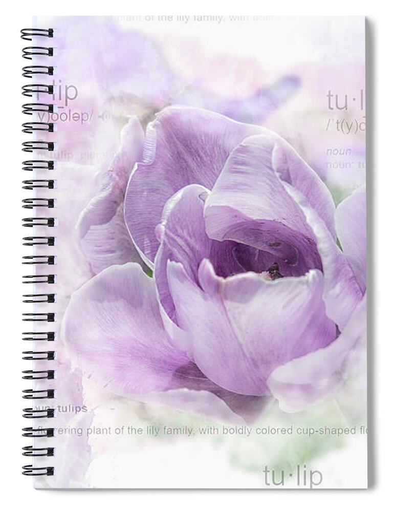 Tulip Spiral Notebook featuring the photograph 10947 Tulip by Pamela Williams