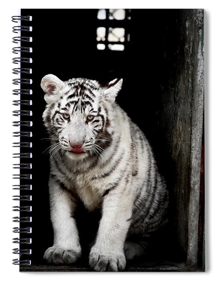 China Spiral Notebook featuring the photograph Discovering China #12 by Marisol VB
