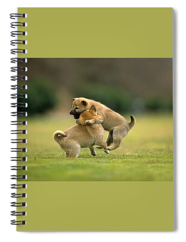 Dog Spiral Notebook featuring the photograph Dog #11 by Mariel Mcmeeking