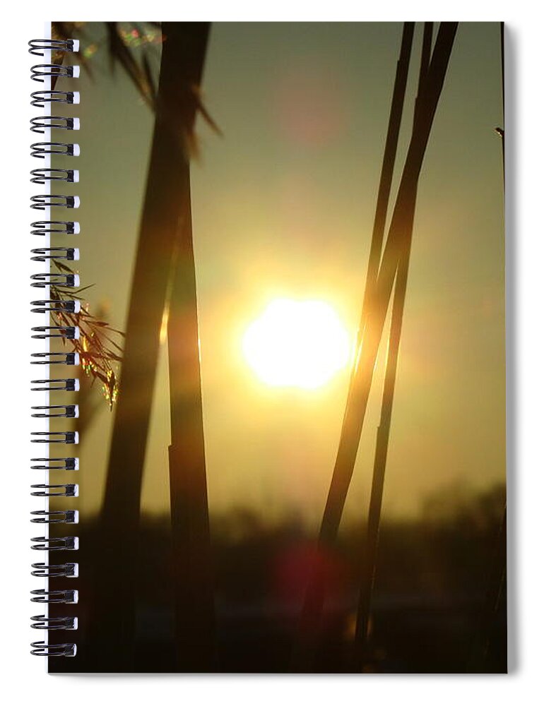 Sunbeam Spiral Notebook featuring the photograph Sunbeam #11 by Jackie Russo
