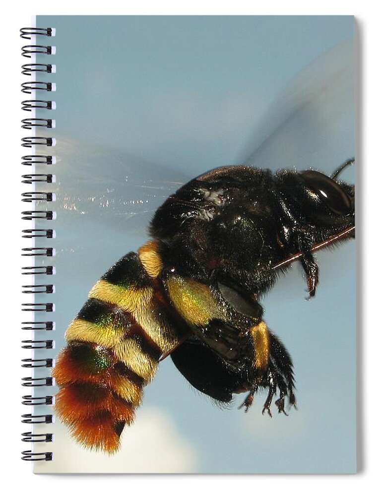 Bee Spiral Notebook featuring the digital art Bee #12 by Super Lovely