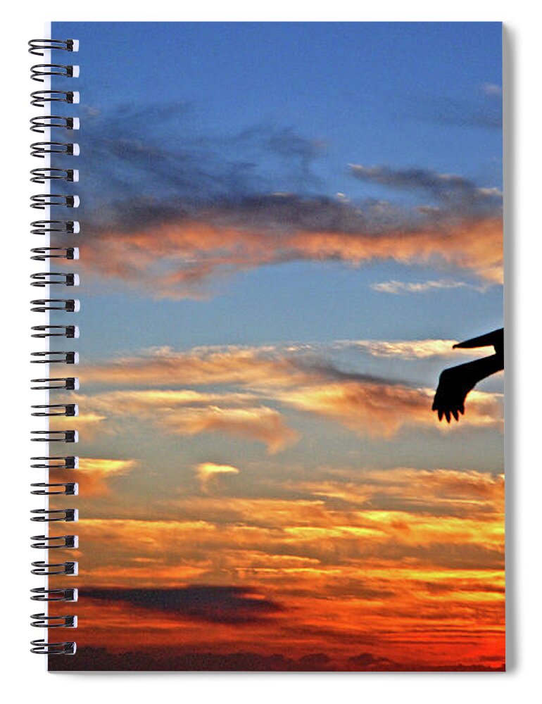 Pelican Spiral Notebook featuring the photograph 12- Fire Escape by Joseph Keane