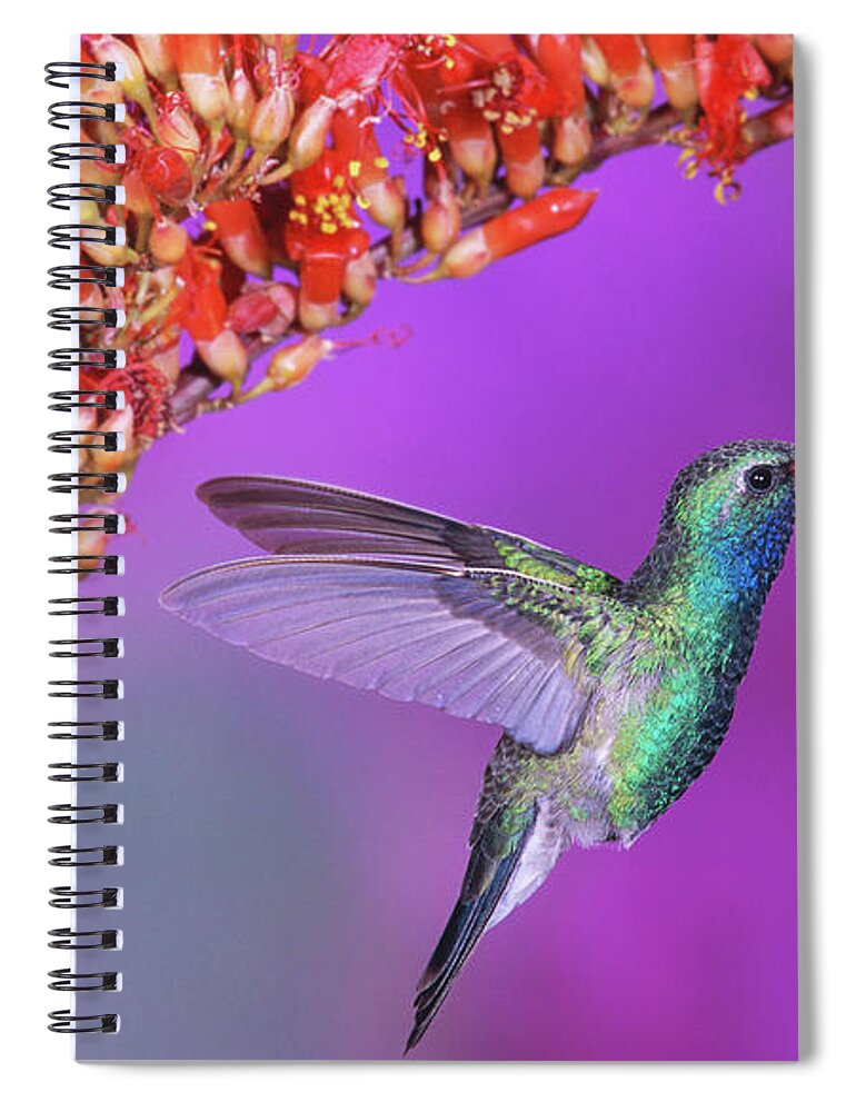Bird Spiral Notebook featuring the photograph Bird #13 by Mariel Mcmeeking