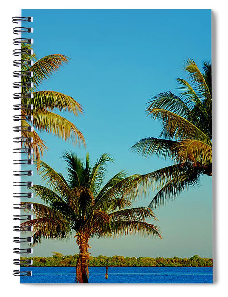 Palm Trees Spiral Notebook featuring the photograph 13- Palms In Paradise by Joseph Keane