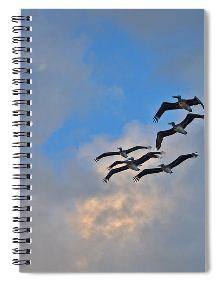  Spiral Notebook featuring the photograph 14- Pelican Patrol by Joseph Keane