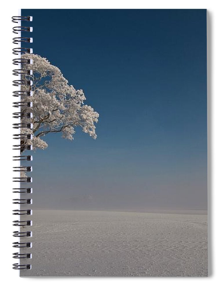 Tree Spiral Notebook featuring the digital art Tree #14 by Maye Loeser
