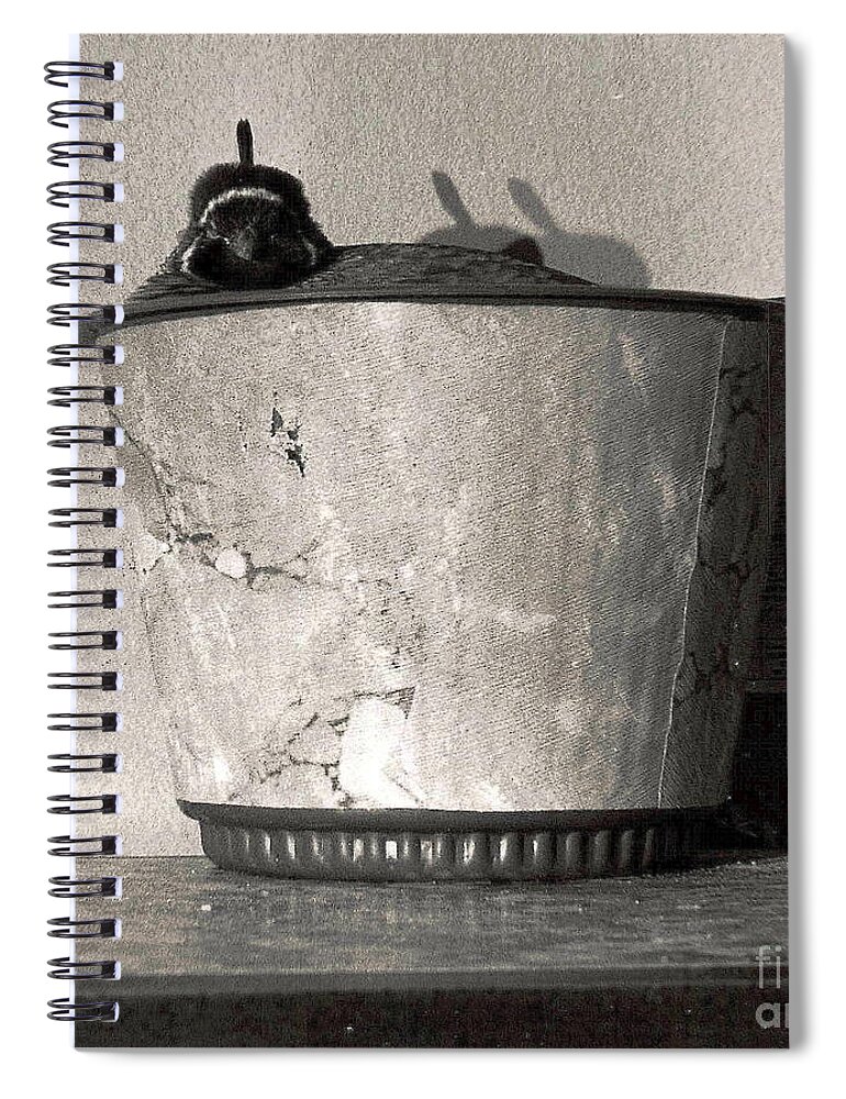 Nature Spiral Notebook featuring the photograph 14_In the wild, when by Christopher Plummer