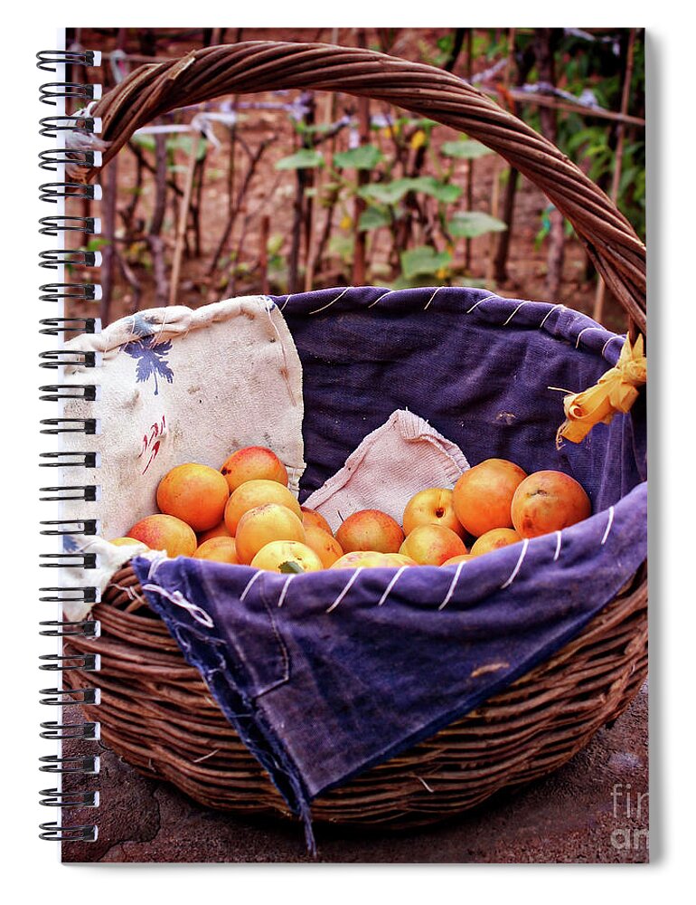 China Spiral Notebook featuring the photograph Discovering China #16 by Marisol VB
