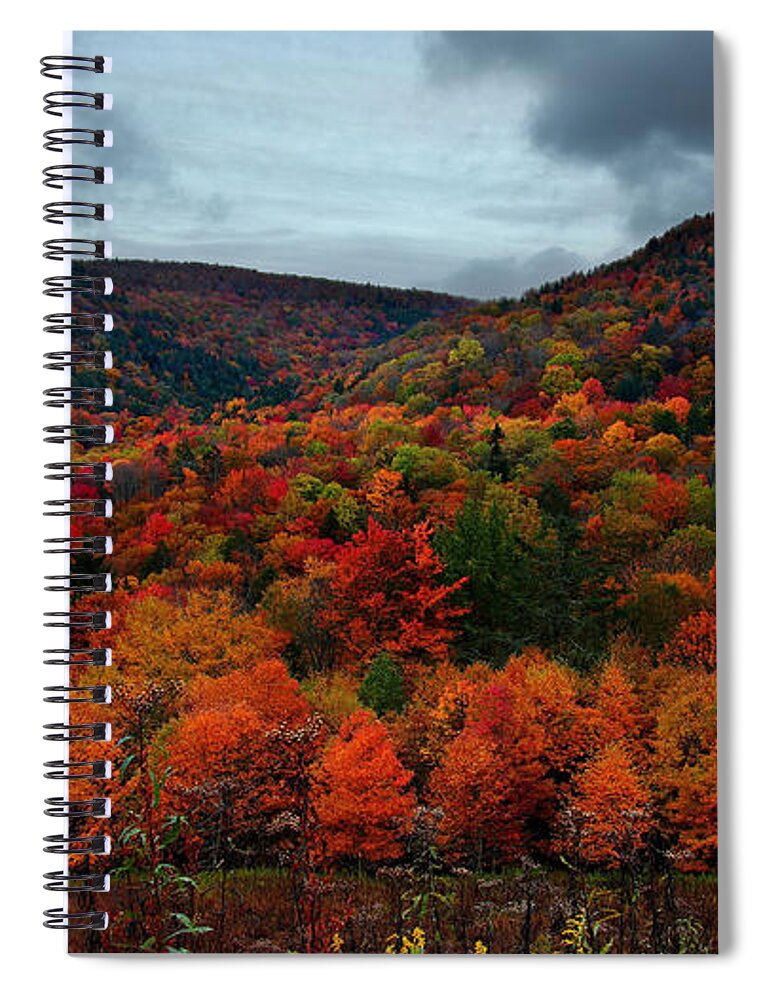 Fall Spiral Notebook featuring the photograph Fall #15 by Jackie Russo