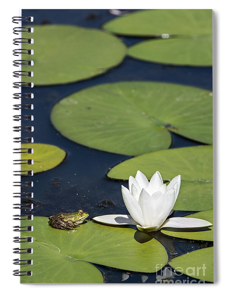 Edible Frog Spiral Notebook featuring the photograph 150622p020 by Arterra Picture Library