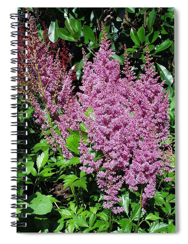 Flower Spiral Notebook featuring the photograph Flower #16 by Jackie Russo