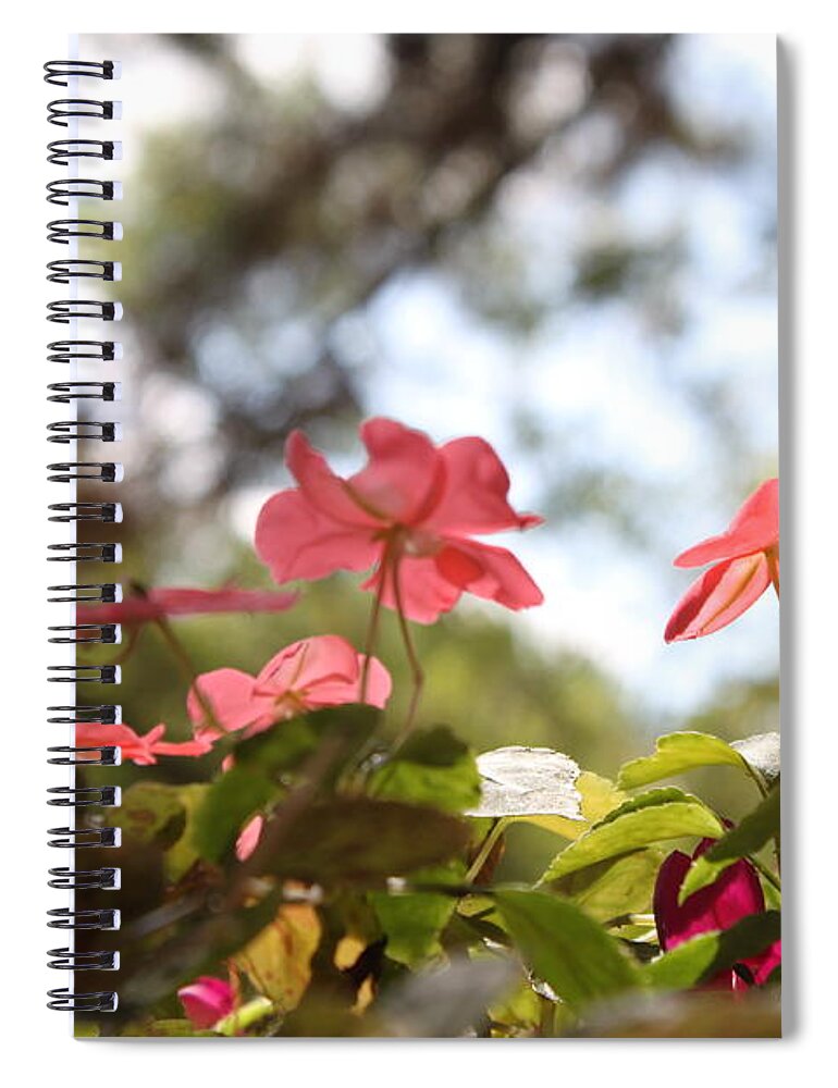 Flower Spiral Notebook featuring the digital art Flower #16 by Maye Loeser