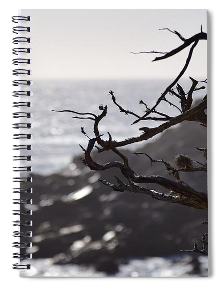17 Mile Drive Spiral Notebook featuring the photograph 17 Mile Drive by Sandy Taylor