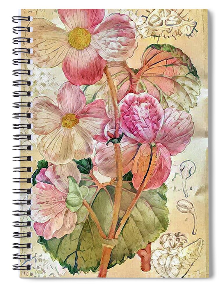 Abstract Floral Spiral Notebook featuring the digital art Shabby Chic Botanical Flowers #17 by Amy Cicconi