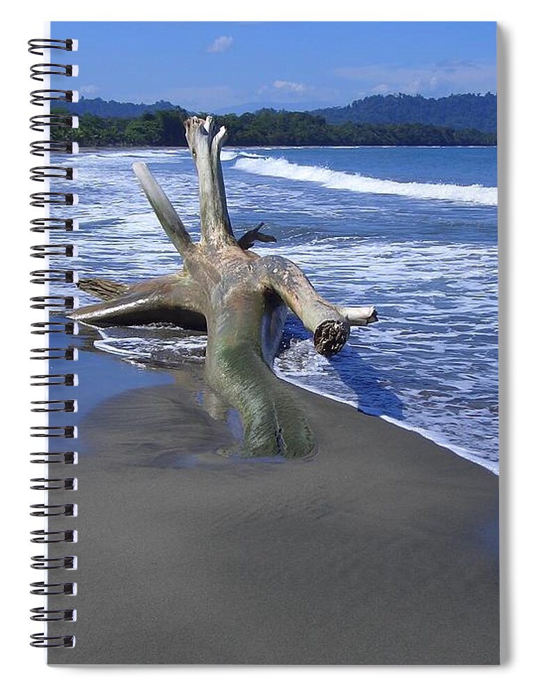 Beach Spiral Notebook featuring the photograph Beach #19 by Jackie Russo