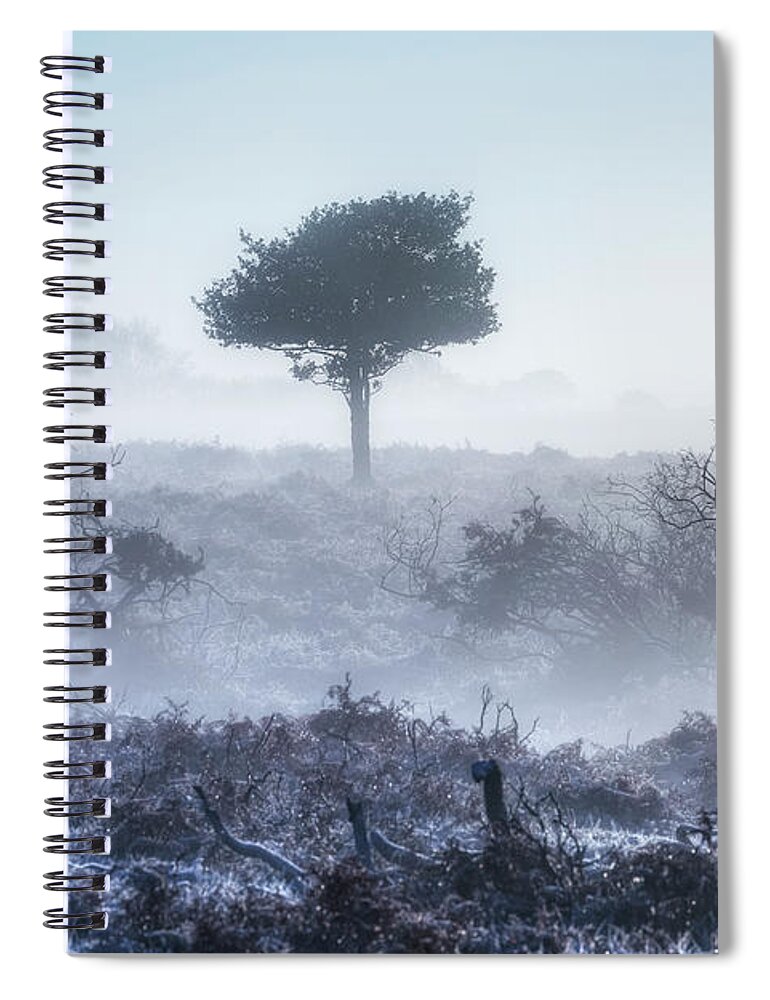 Wilverley Spiral Notebook featuring the photograph New Forest - England #195 by Joana Kruse
