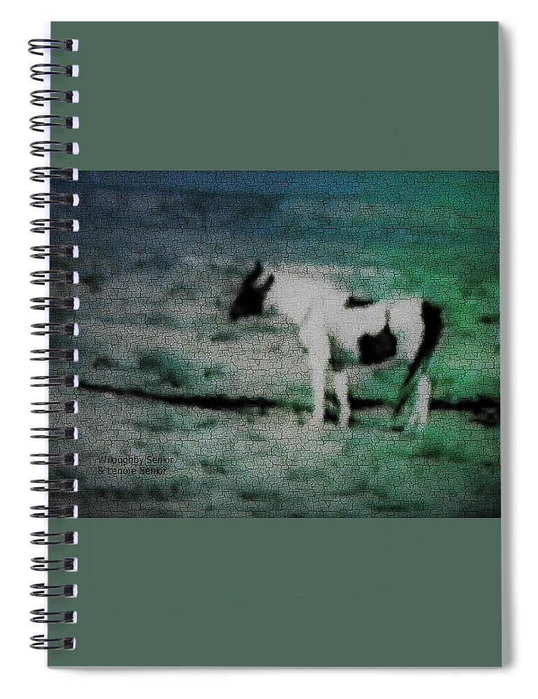 Minimal Spiral Notebook featuring the digital art 1950's - Pinto by Lenore Senior