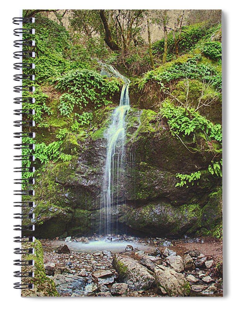 Buck Gulch Falls Spiral Notebook featuring the photograph A Little Bit of Love #1 by Laurie Search