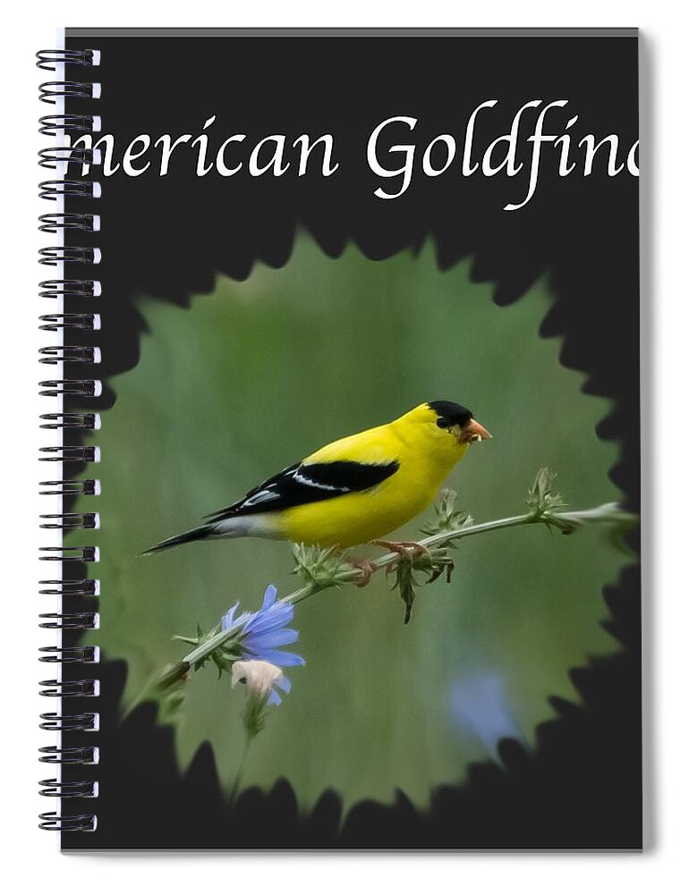 American Goldfinch Spiral Notebook featuring the photograph American Goldfinch by Holden The Moment