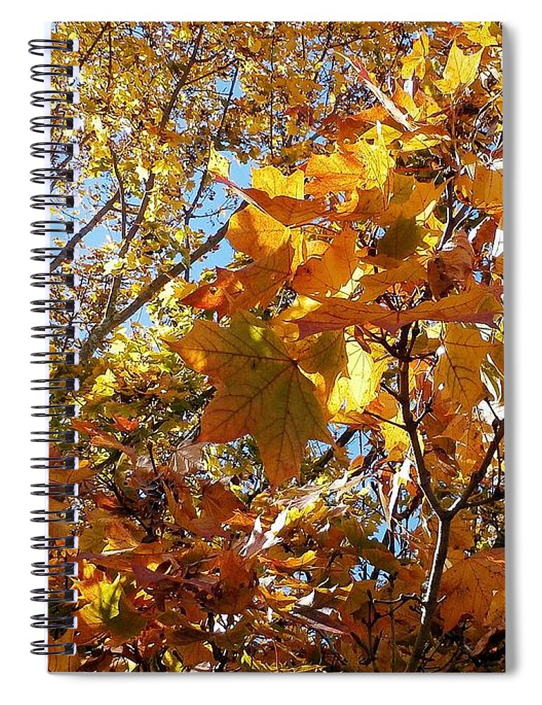 Leaves Spiral Notebook featuring the photograph Autumn Leaves #2 by Wolfgang Schweizer
