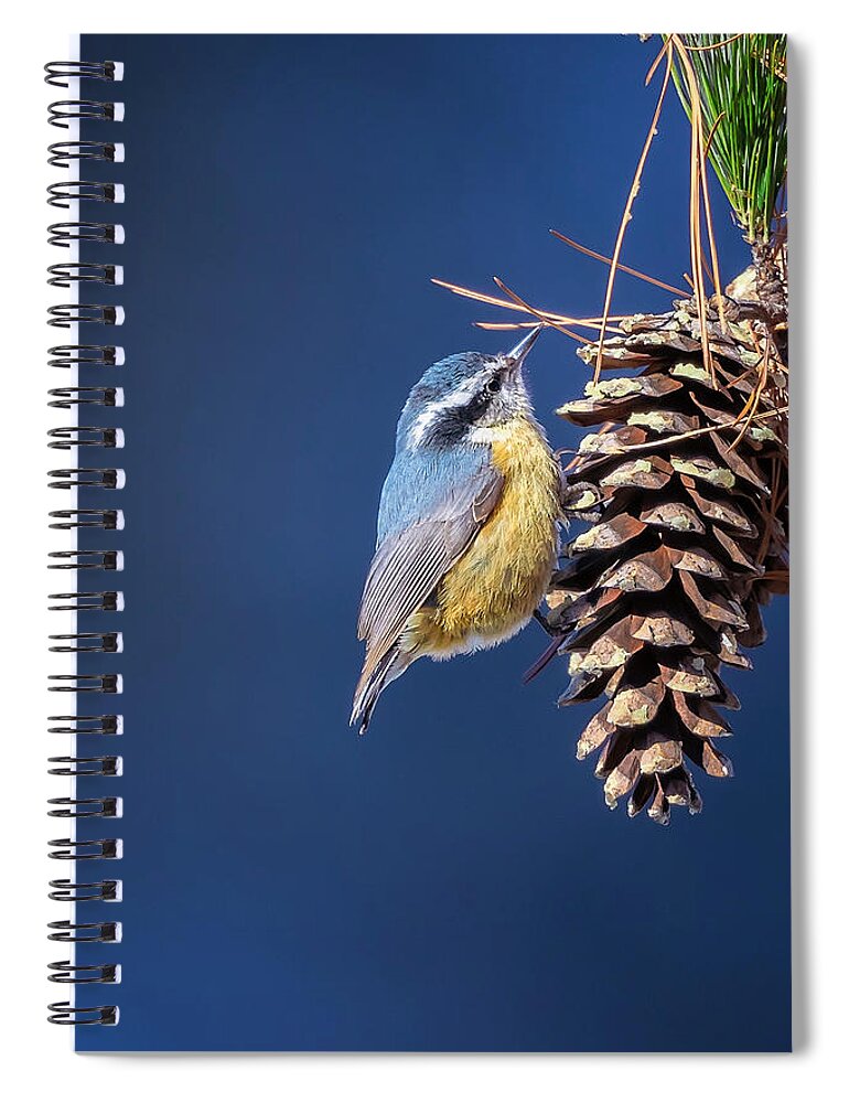 Adorable Spiral Notebook featuring the photograph Black-capped Chickadee by Peter Lakomy