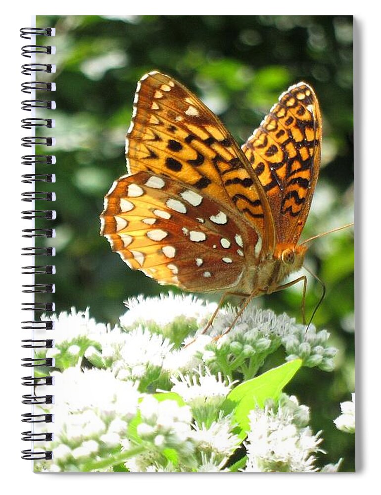 Butterfly Spiral Notebook featuring the digital art Butterfly #2 by Maye Loeser