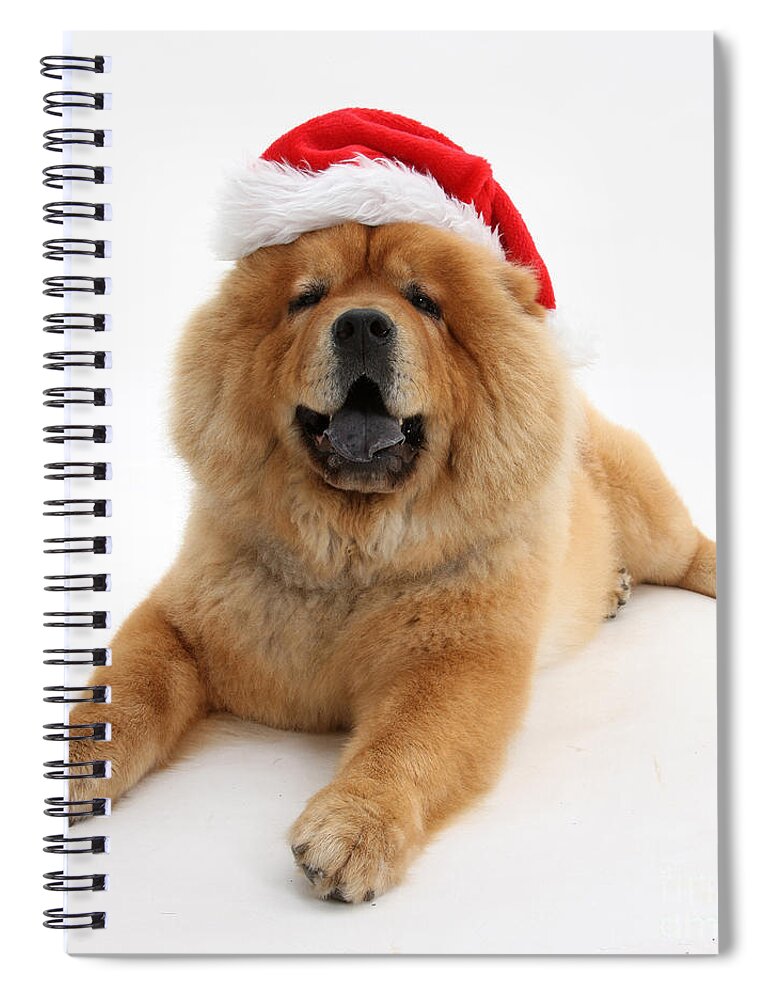 Animal Spiral Notebook featuring the photograph Christmas Dog #2 by Mark Taylor