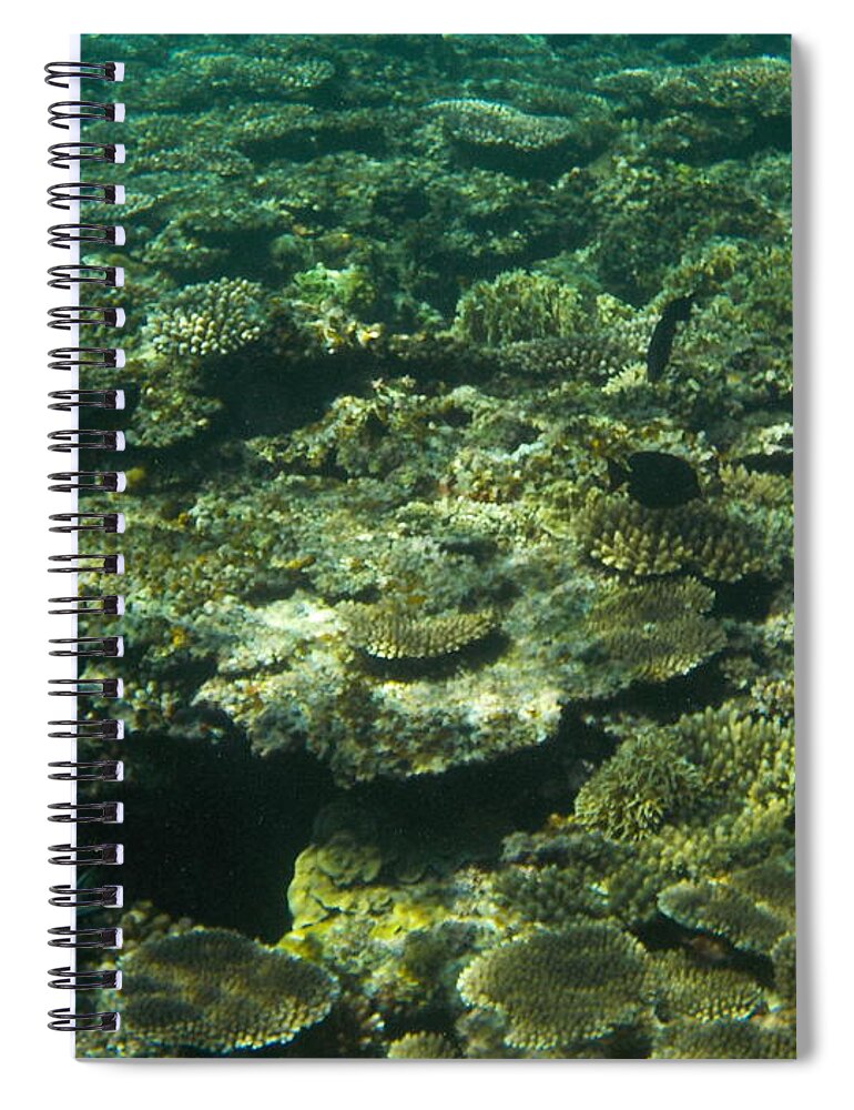 Okinawa Spiral Notebook featuring the photograph Coral Reef #2 by Minami Daminami