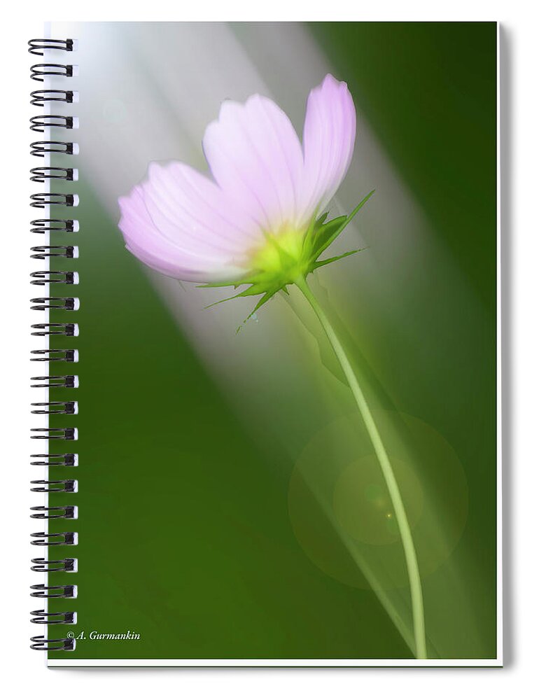 Cosmos Spiral Notebook featuring the digital art Cosmos Flower #2 by A Macarthur Gurmankin