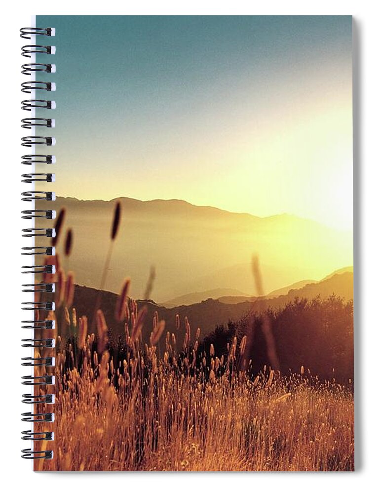 Field Spiral Notebook featuring the photograph Field #2 by Jackie Russo