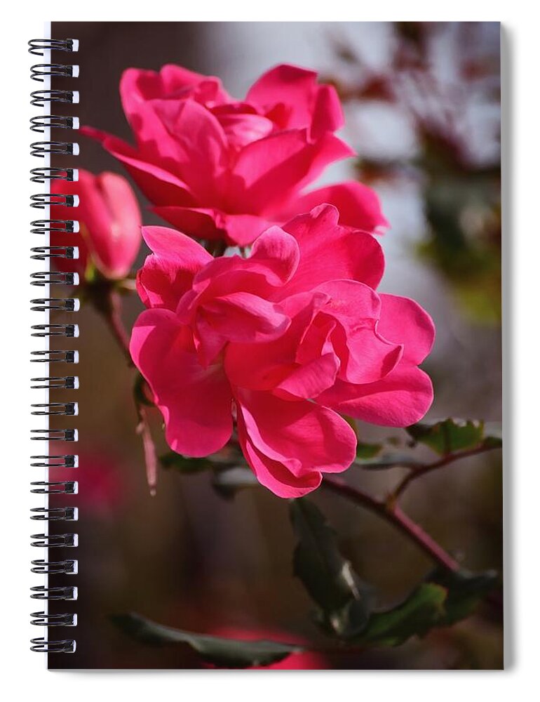 Flora Spiral Notebook featuring the photograph Flora No. 2 by Sandy Taylor