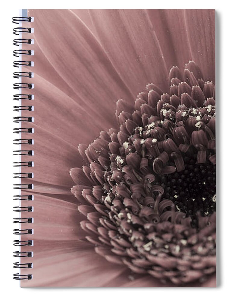 Flower Spiral Notebook featuring the photograph Flowers #2 by John Paul Cullen