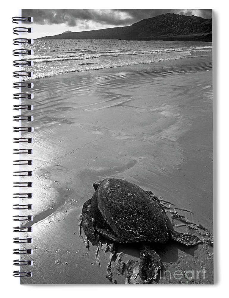 Black And White Spiral Notebook featuring the photograph Galapagos_36-15 #2 by Craig Lovell