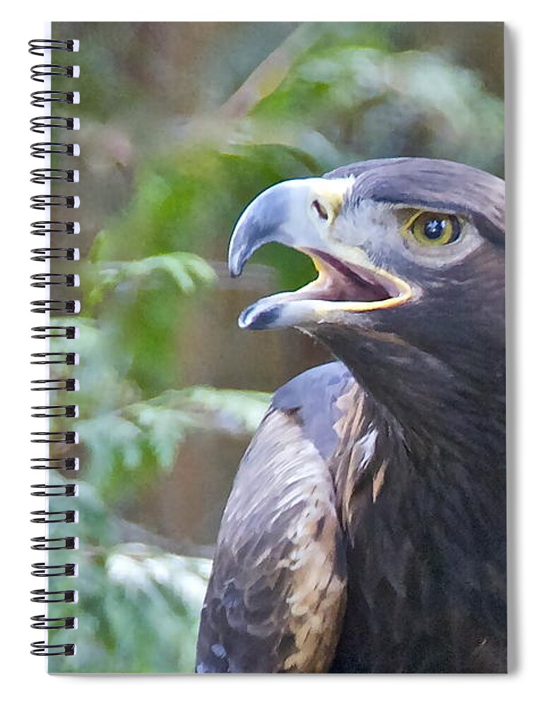 Photography Spiral Notebook featuring the photograph Golden Eagle #2 by Sean Griffin