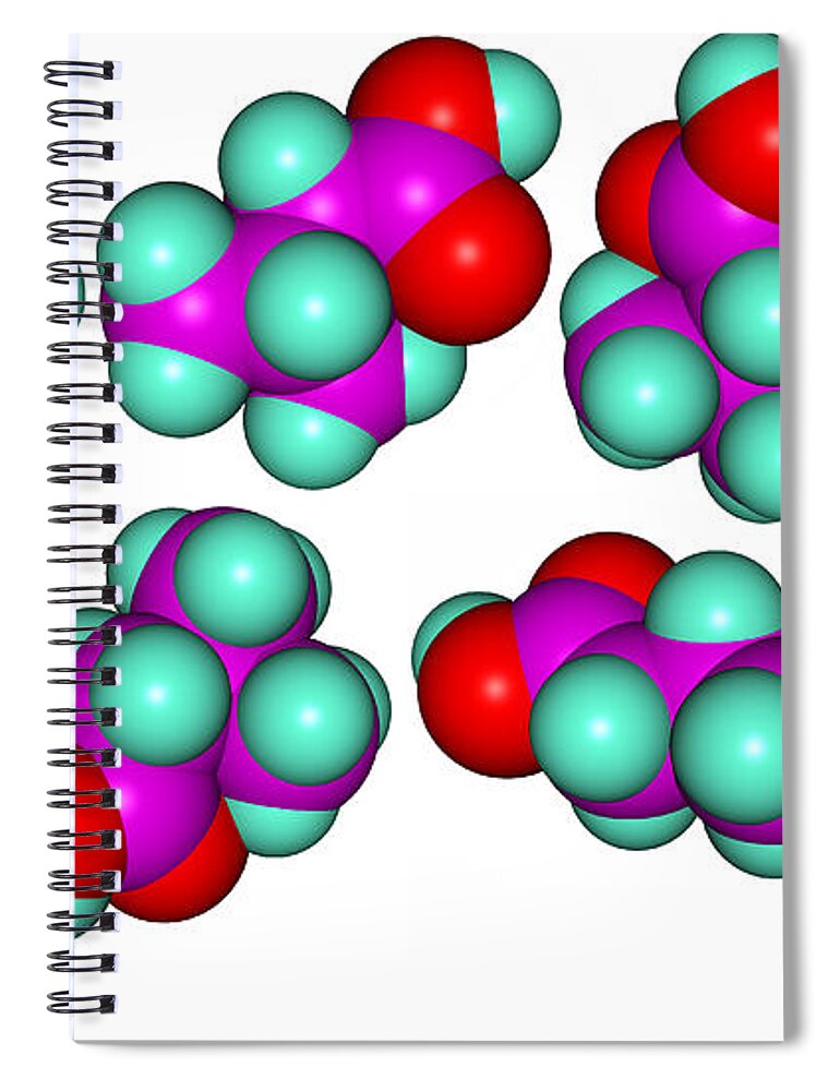 Molecule Spiral Notebook featuring the photograph Isovaleric Acid Molecular Models #2 by Scimat