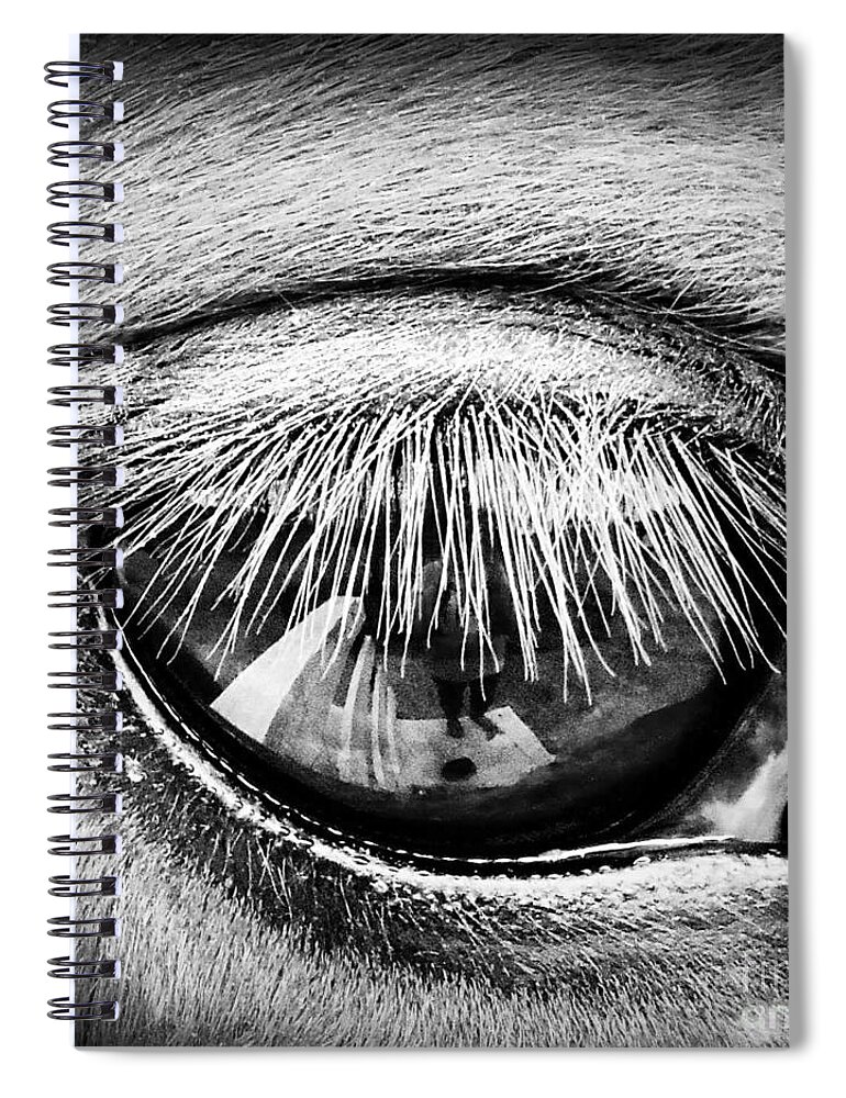 Equine Spiral Notebook featuring the photograph Just a Reflection #2 by Rabiah Seminole