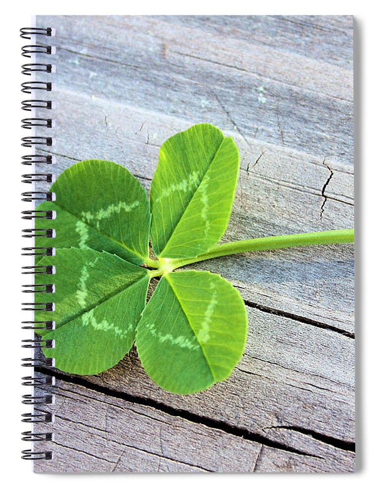 Clover Spiral Notebook featuring the photograph Lucky #1 by Kristin Elmquist