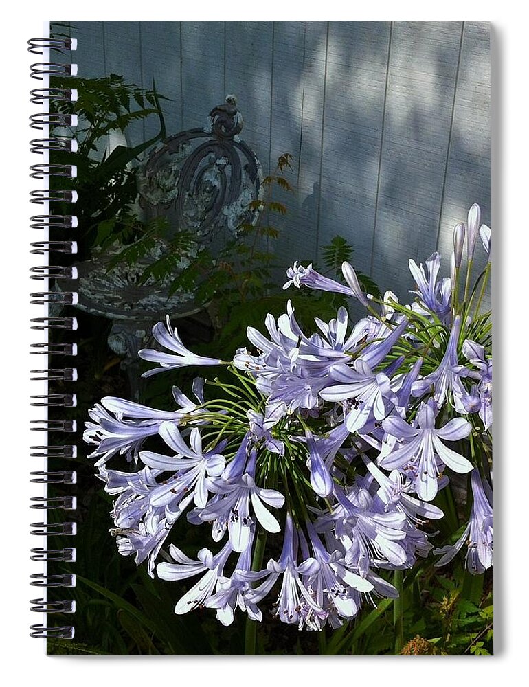 Flowers Spiral Notebook featuring the photograph Morning Sun #3 by John Glass
