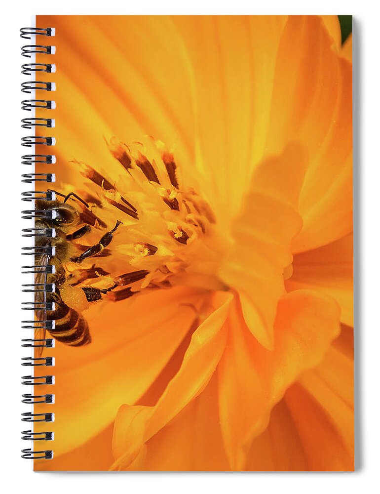 Bee Spiral Notebook featuring the photograph Pollination #2 by SAURAVphoto Online Store